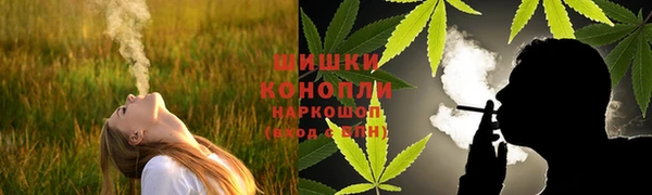 прущие грибы Аркадак
