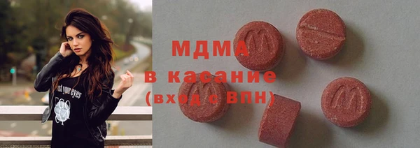 прущие грибы Аркадак