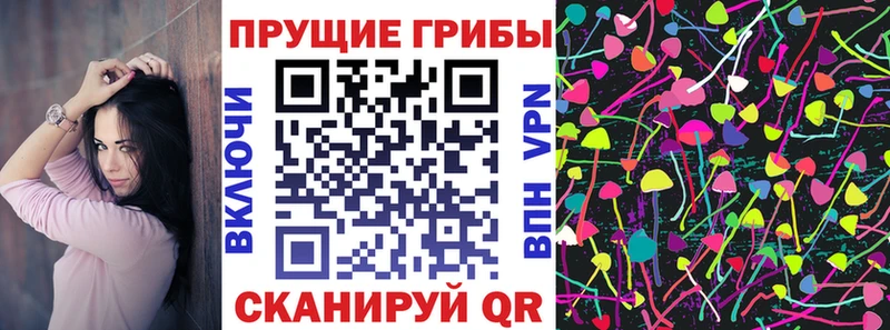Псилоцибиновые грибы Psilocybine cubensis  omg зеркало  Сураж 